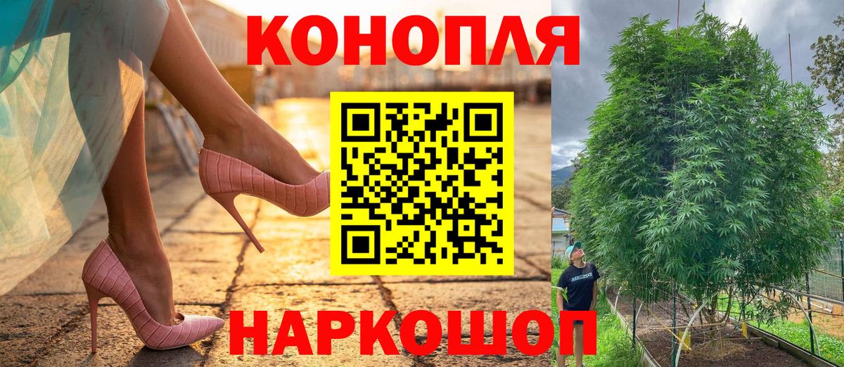 Каннабис OG Kush  Каннабис White Widow  Каннабис семена  Вход с VPN  Саранск 
